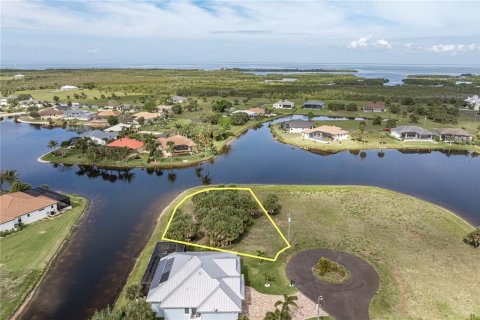 Land in Punta Gorda, Florida № 2220407