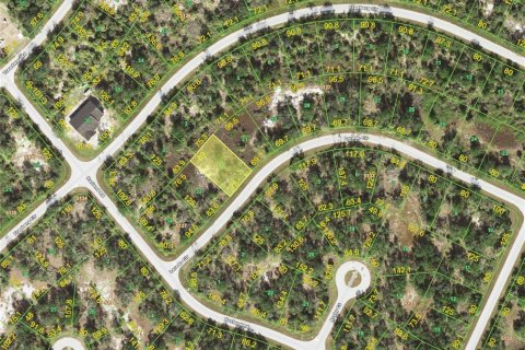 Land in Port Charlotte, Florida № 2224829 - photo 2