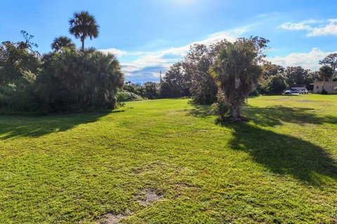 Land in South Daytona, Florida № 2115915 - photo 28