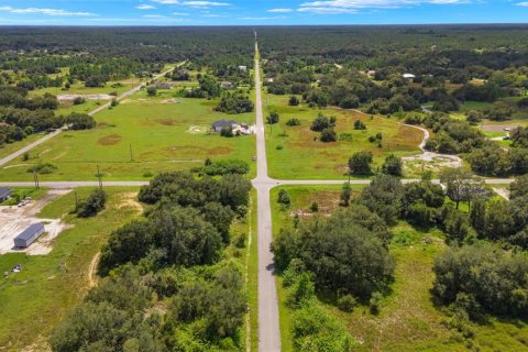 Land in Lehigh Acres, Florida № 1566758 - photo 16