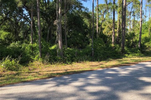 Land in North Port, Florida № 2229080 - photo 3