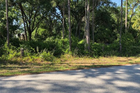 Land in North Port, Florida № 2229080 - photo 4
