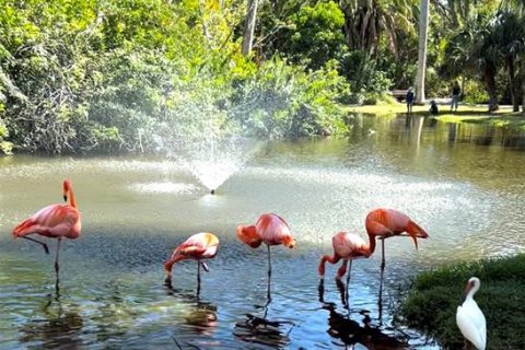Land in Rotonda, Florida № 1677503 - photo 3