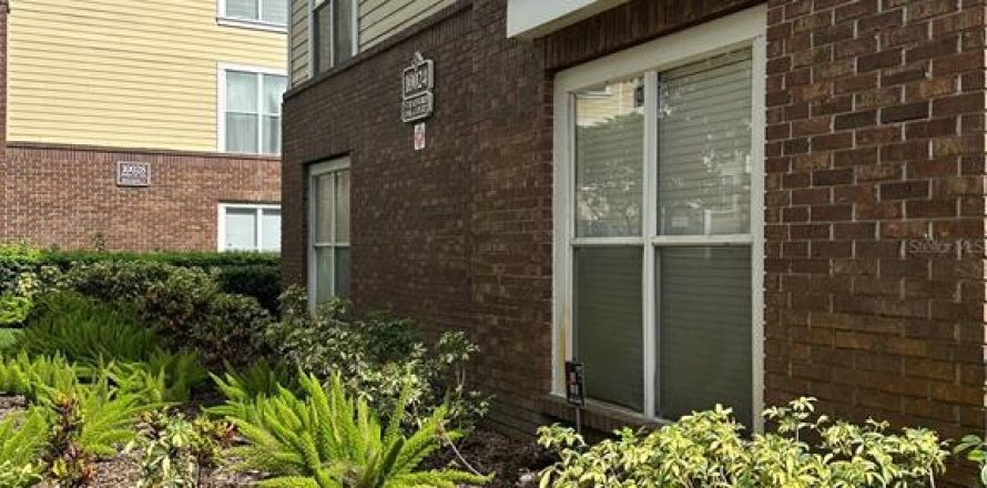 Condo in Tampa, Florida, 1 bedroom  № 2239254