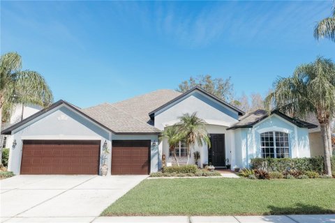 House in Wesley Chapel, Florida 4 bedrooms, 321.81 sq.m. № 1791917 - photo 1