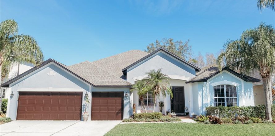 House in Wesley Chapel, Florida 4 bedrooms, 321.81 sq.m. № 1791917