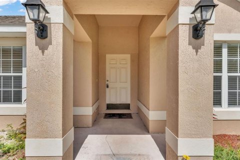 Villa ou maison à vendre à Lakeland, Floride: 4 chambres, 242.29 m2 № 1832095 - photo 8
