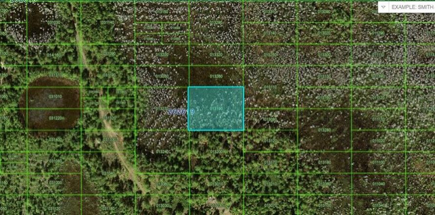 Terreno en Polk City, Florida № 2202830