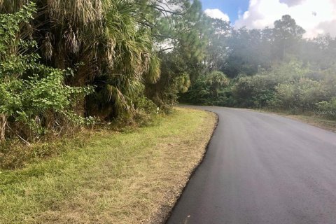 Land in Port Charlotte, Florida № 2209299