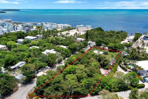 Terrain à vendre à Key Largo, Floride № 1963737 - photo 8