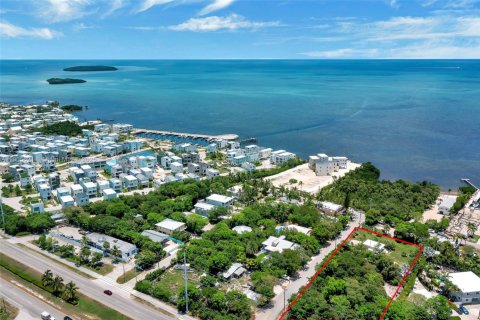 Terrain à vendre à Key Largo, Floride № 1963737 - photo 6