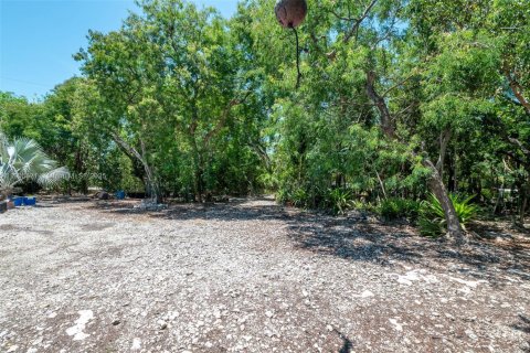 Terrain à vendre à Key Largo, Floride № 1963737 - photo 27