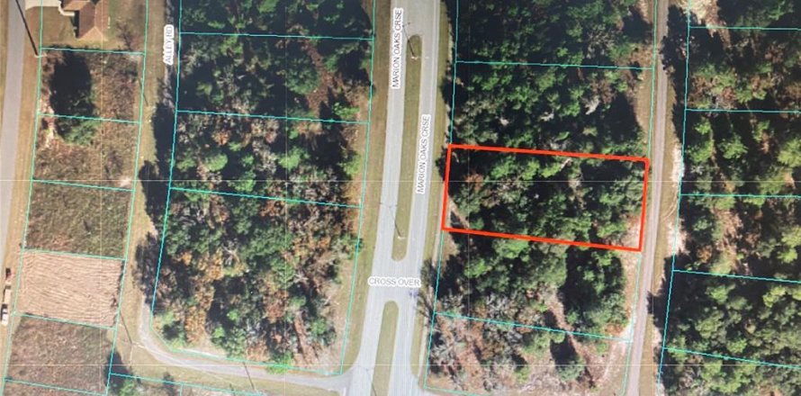 Land in Ocala, Florida № 1802865