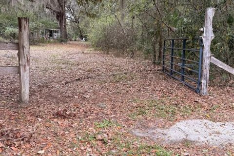 Immobilier commercial à vendre à Homosassa, Floride: 3 chambres, 251.21 m2 № 2105933 - photo 6