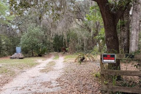 Immobilier commercial à vendre à Homosassa, Floride: 3 chambres, 251.21 m2 № 2105933 - photo 5