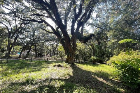 House in Fort MC Coy, Florida 2 bedrooms, 86.96 sq.m. № 1356465 - photo 6