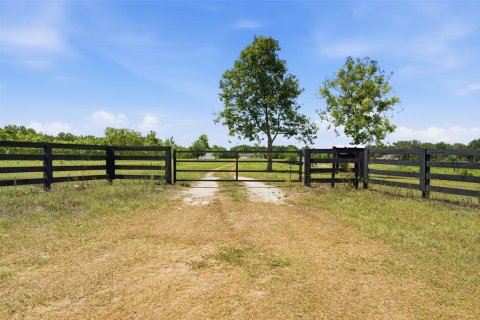 Casa en venta en Umatilla, Florida, 3 dormitorios, 160.44 m2 № 2208450 - foto 4