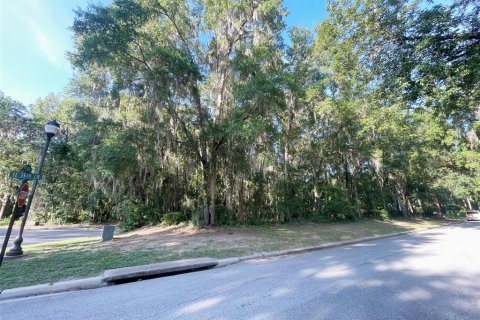 Terrain à vendre à Ocala, Floride № 1913988 - photo 6