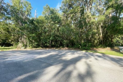 Terrain à vendre à Ocala, Floride № 1913988 - photo 4
