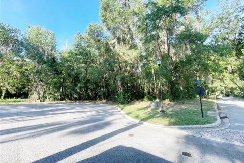 Terrain à vendre à Ocala, Floride № 1913988 - photo 2