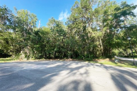 Terrain à vendre à Ocala, Floride № 1913988 - photo 3