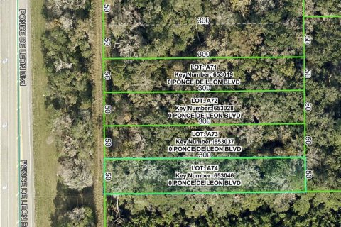 Land in Brooksville, Florida № 2159825
