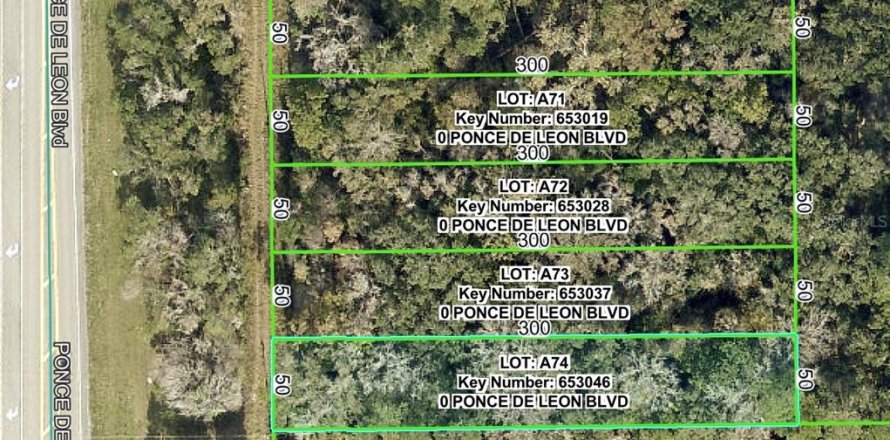 Land in Brooksville, Florida № 2159825