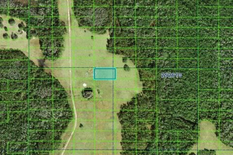 Land in Polk City, Florida № 2110009
