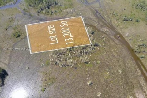 Terrain à vendre à Miami, Floride № 2034873 - photo 2