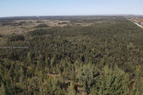 Terrain à vendre à Miami, Floride № 2034873 - photo 9