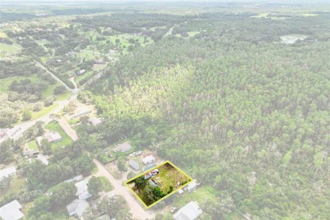 House in Umatilla, Florida 1 bedroom, 24.15 sq.m. № 1916805 - photo 6
