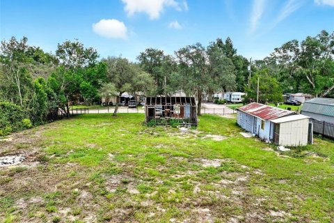 House in Umatilla, Florida 1 bedroom, 24.15 sq.m. № 1916805 - photo 9