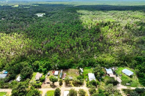 House in Umatilla, Florida 1 bedroom, 24.15 sq.m. № 1916805 - photo 7