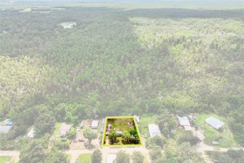 House in Umatilla, Florida 1 bedroom, 24.15 sq.m. № 1916805 - photo 8