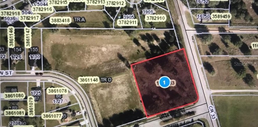 Land in Mascotte, Florida № 232015