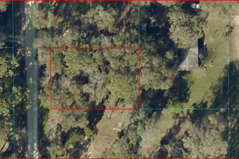 Land in Ocala, Florida № 2159165 - photo 2