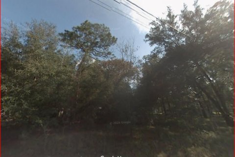 Land in Ocala, Florida № 2159165 - photo 3