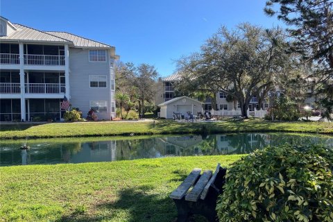 Condo in Lutz, Florida, 1 bedroom  № 1758154 - photo 2