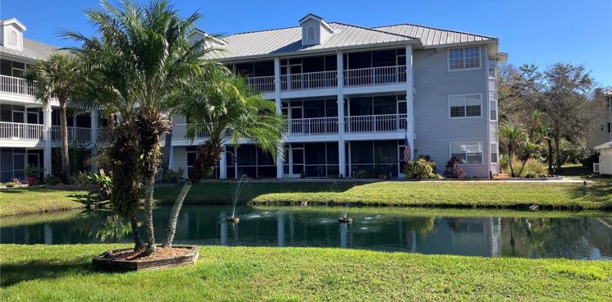 Condo in Lutz, Florida, 1 bedroom  № 1758154