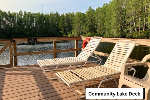 Condo in Lutz, Florida, 1 bedroom  № 1758154 - photo 14