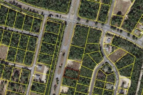 Land in Ocala, Florida № 2106914 - photo 3