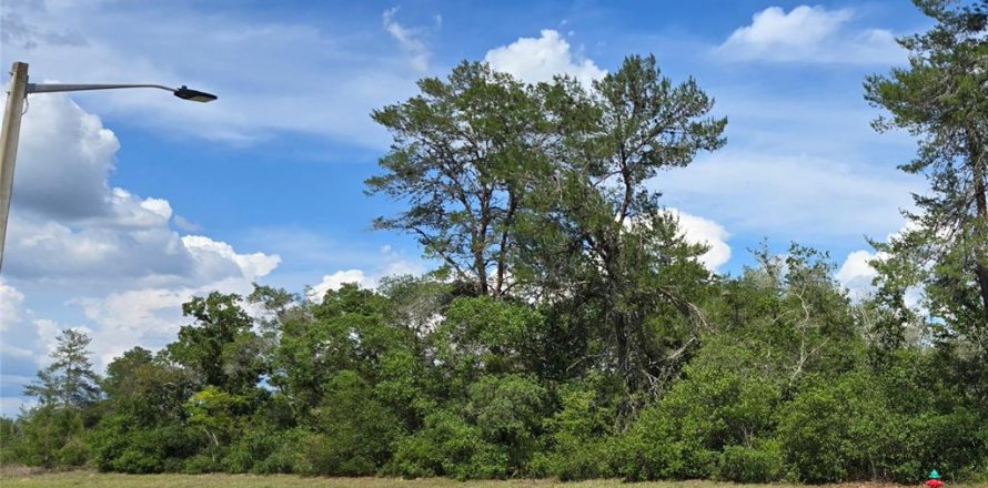 Land in Ocala, Florida № 2106914