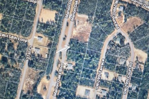 Land in Ocala, Florida № 2106914 - photo 4