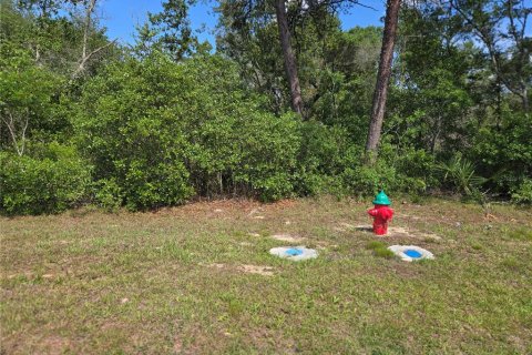 Land in Ocala, Florida № 2106914 - photo 2