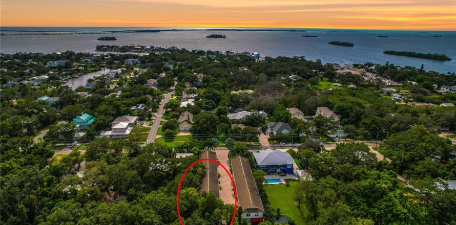 Townhouse in Palm Harbor, Florida 3 bedrooms, 276.29 sq.m. № 1886060