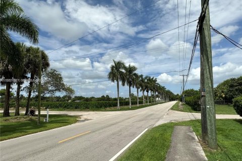Commercial property in Homestead, Florida № 2154807 - photo 2