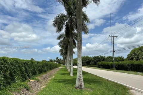 Commercial property in Homestead, Florida № 2154807 - photo 3