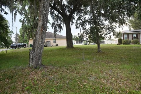 Land in Wildwood, Florida № 2277241