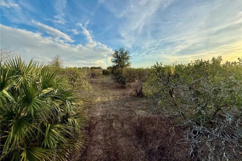Land in Weirsdale, Florida № 1539836 - photo 2