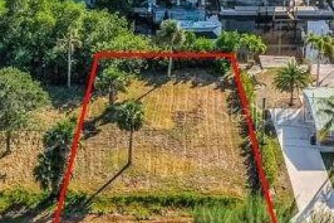 Terreno en venta en Naples, Florida № 1840153 - foto 1